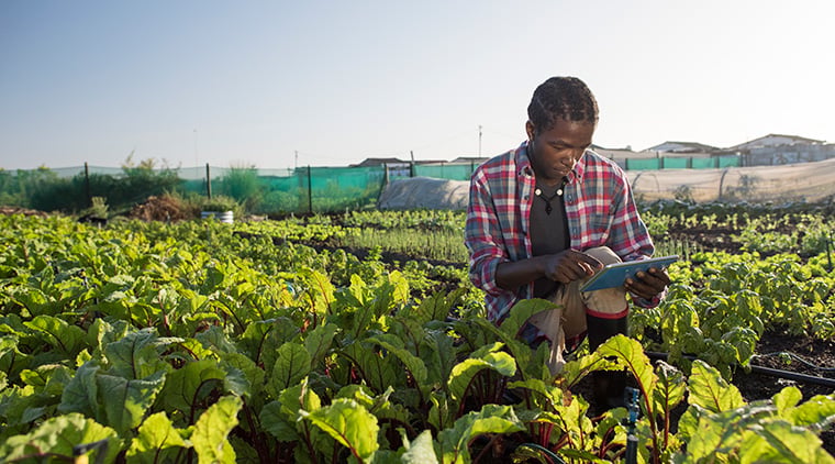 Gftc Fda Tech Enabled Traceability Report