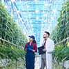 Scientists at indoor farm