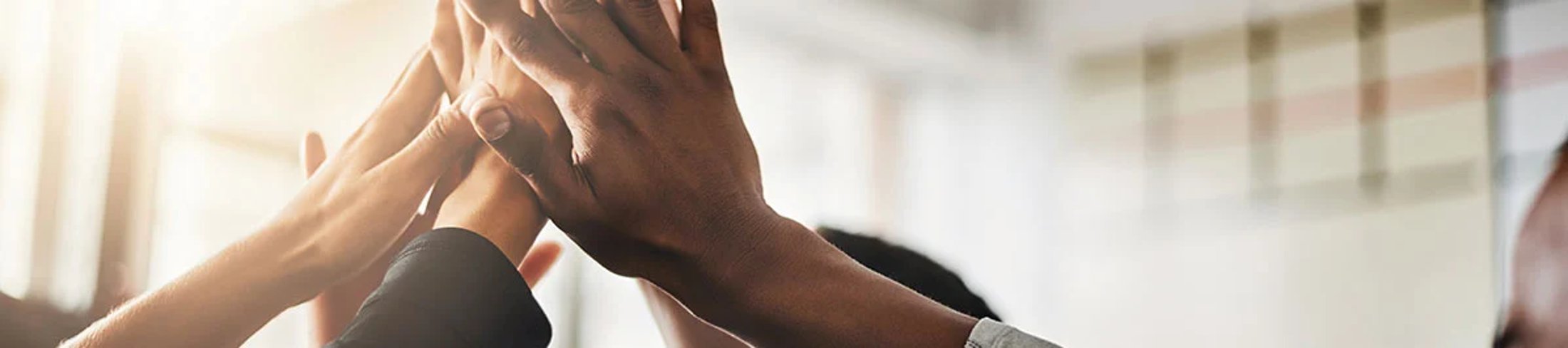 BOD_banner
