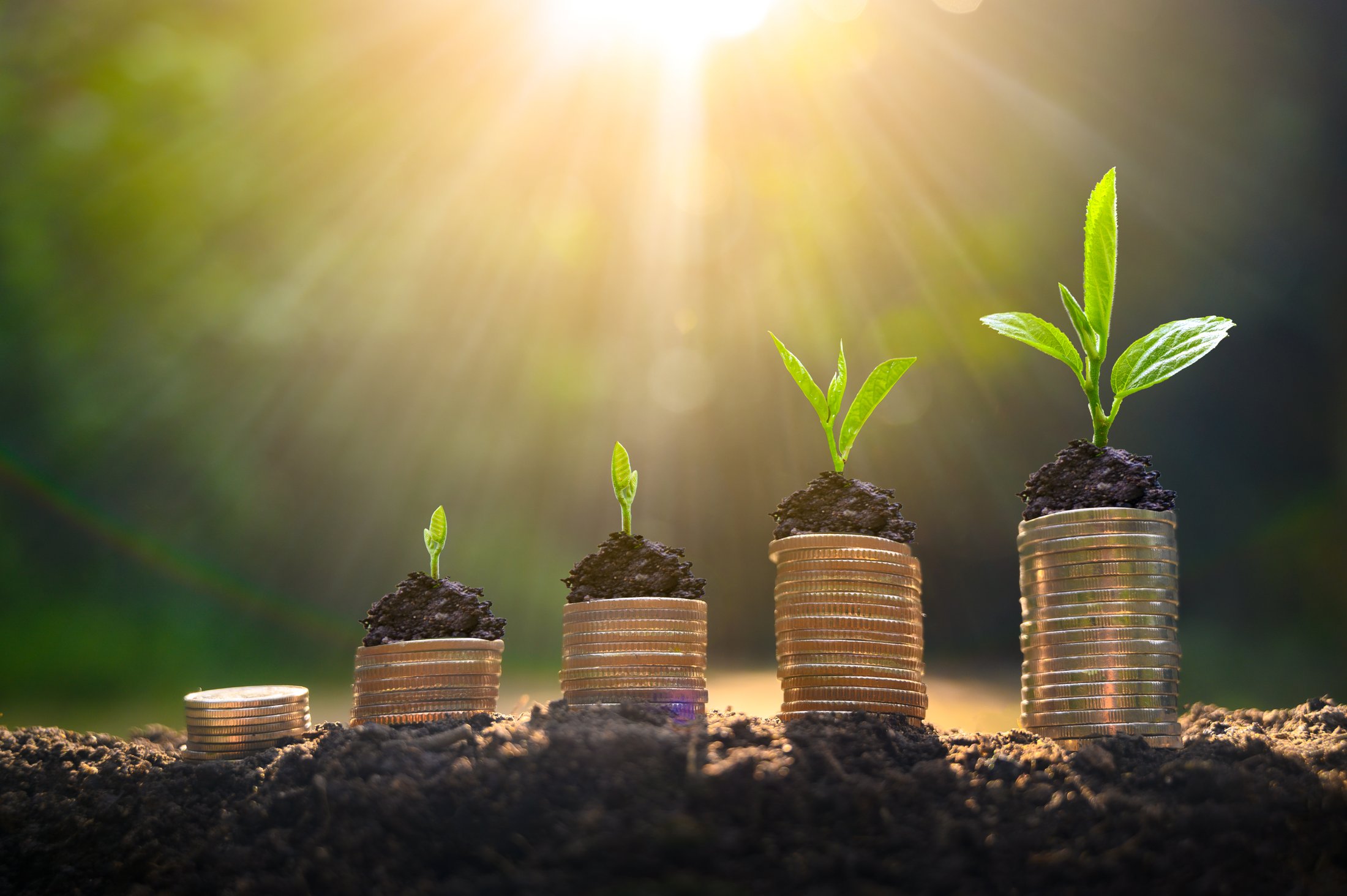 Coins with plants growing on top