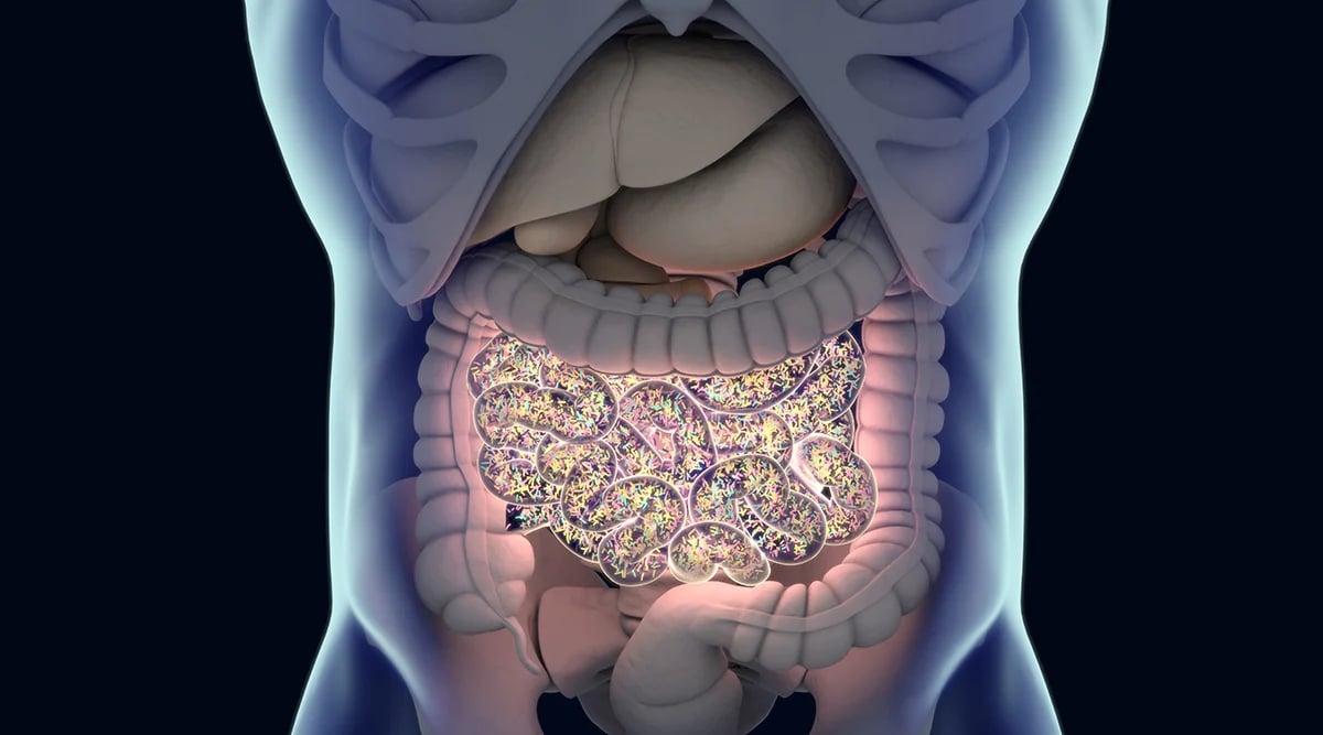 Advocacy_DigestiveTract