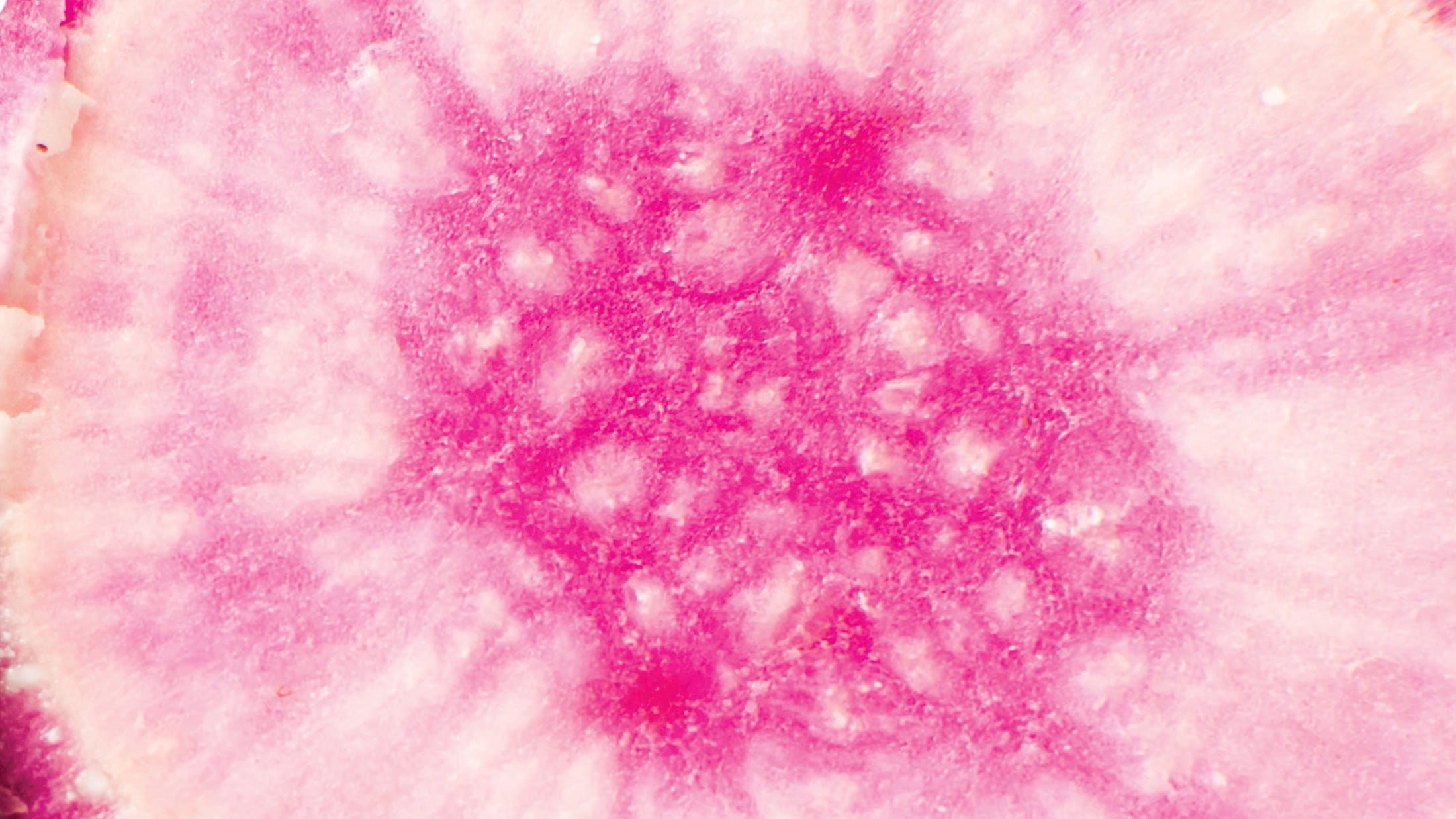 Raw and cooked purple potatoes