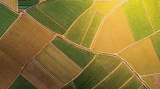 Agriculture shapes nearly 40% of the Earth’s land surface, making food production one of the most powerful human influences on the planet.