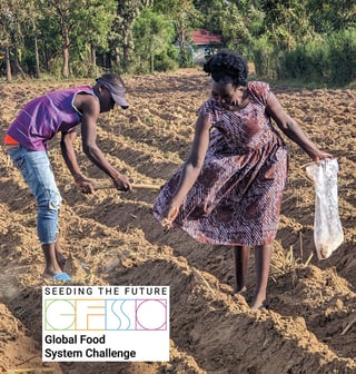 A fungal herbicide supplied by the Toothpick Company allows farmers in Africa to combat a pervasive threat to crops