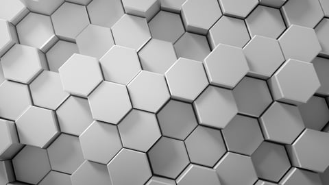Black and White Honeycomb Abstract