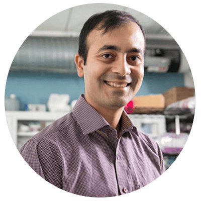 Rohit Karnik