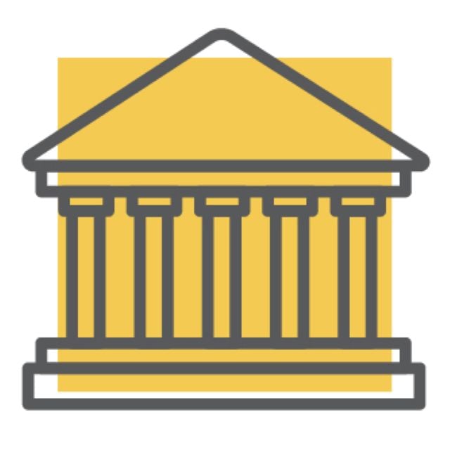 Government Icon