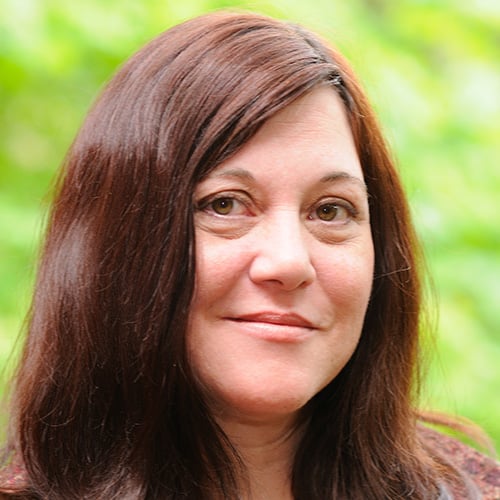 Julie Larson Bricher