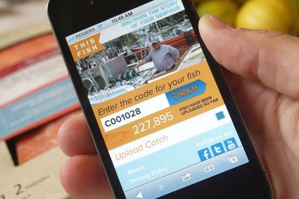 Innovative Solutions for Global Seafood Traceability