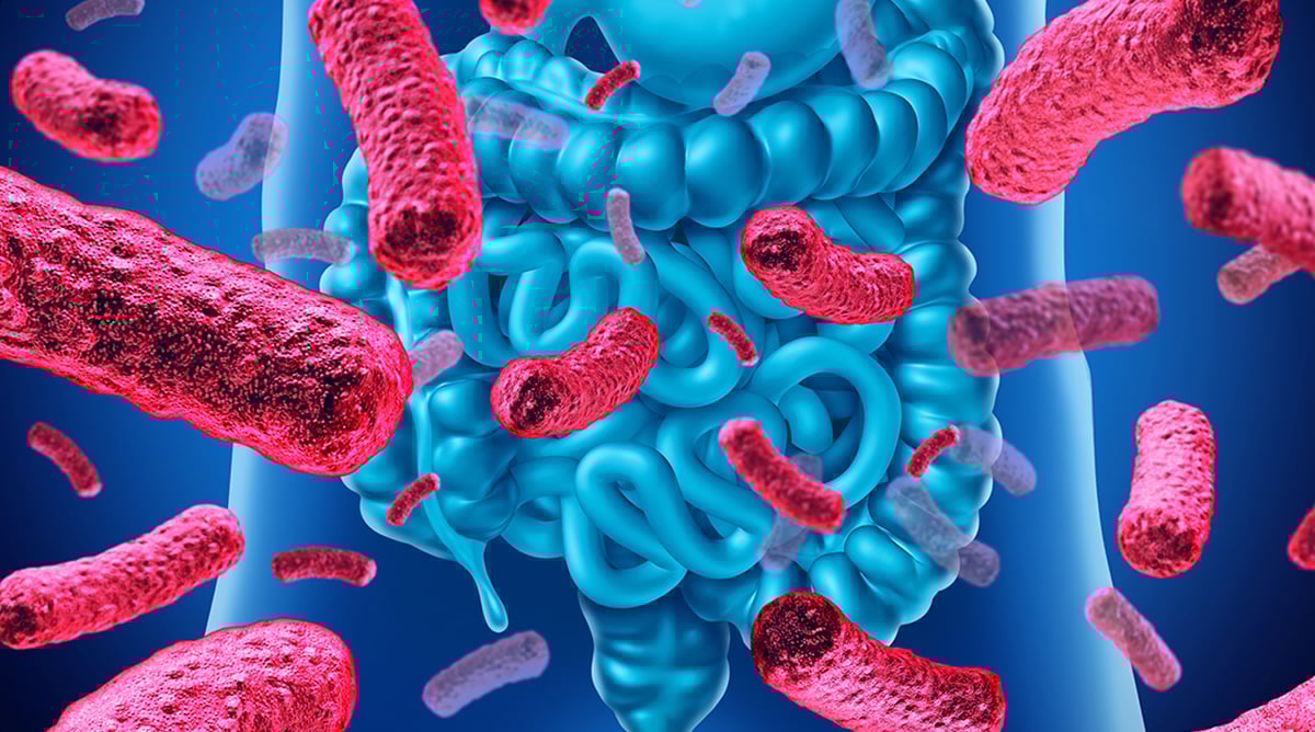 Microbiome Gut Health