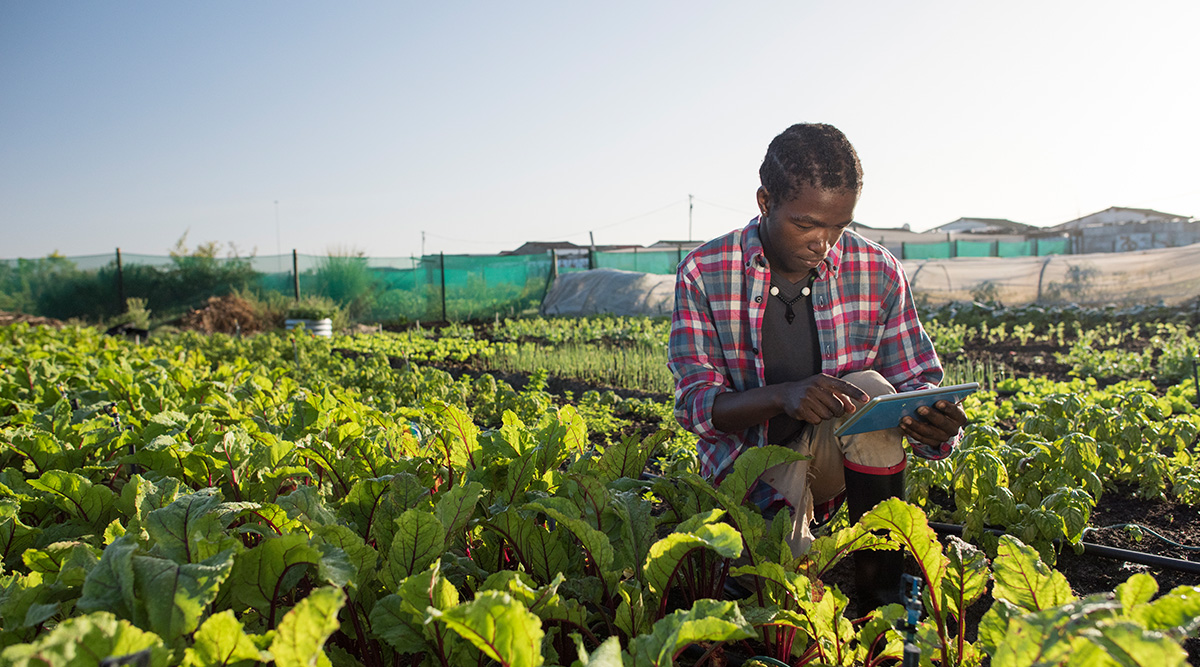 FDA Food Traceability Challenge