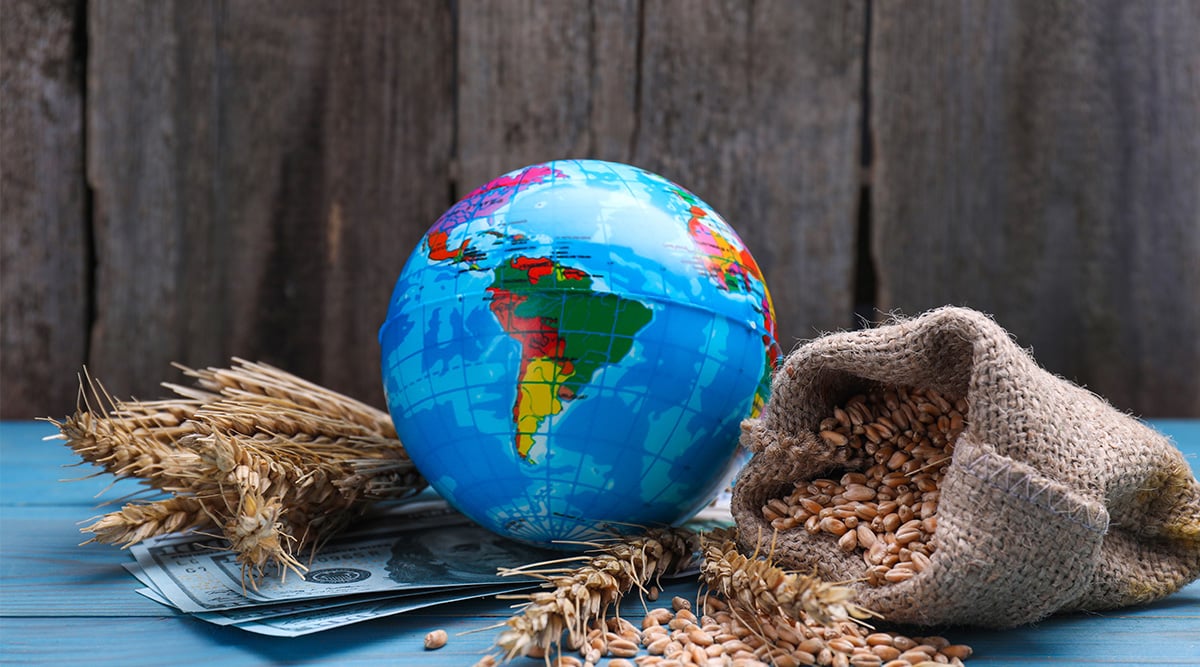 a globe with a bag of wheat grain symbolizing global food trade