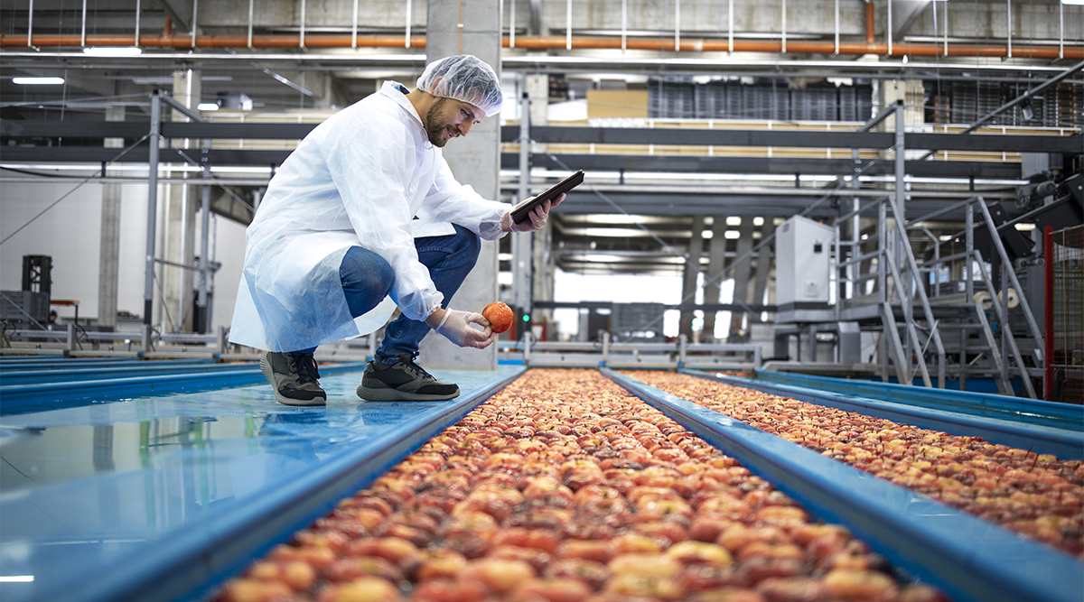 technician in a food processing plant checks inventory