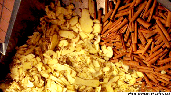 Gale Gand's Root Beer Ingredients