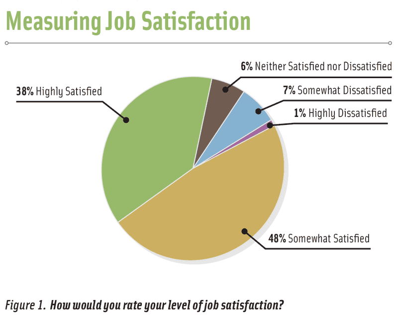Figure 1. How would you rate your level of job satisfaction?