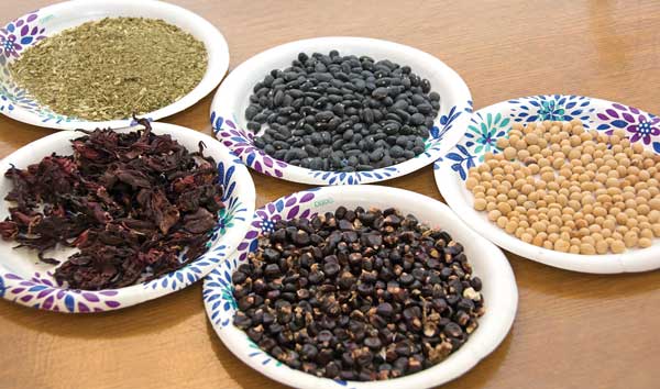 Yerba mate, hibiscus tea, black beans, soybeans, and red corn.