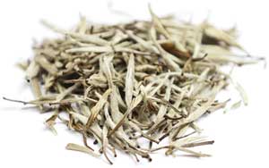 white tea