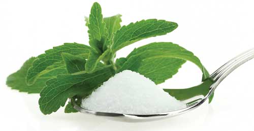 Stevia