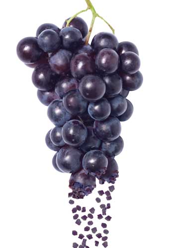 Fruit pieces