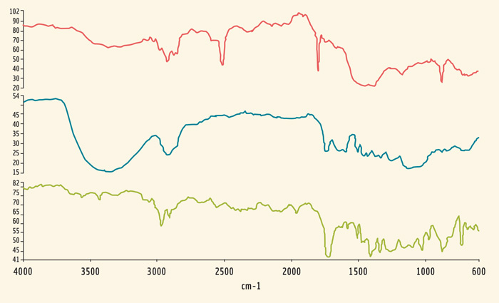 Figure 1. Spectra of the typical materials found in bottled water: calcium carbonate (top), cellulose (middle) and PET (bottom).
