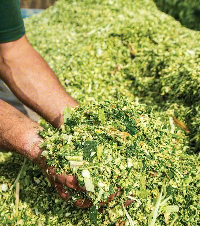 Academia Special Kernal