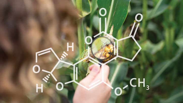 Maize chemical bonds