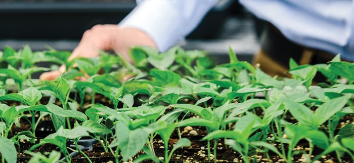 Joyn Bio uses synthetic biology for crop production.