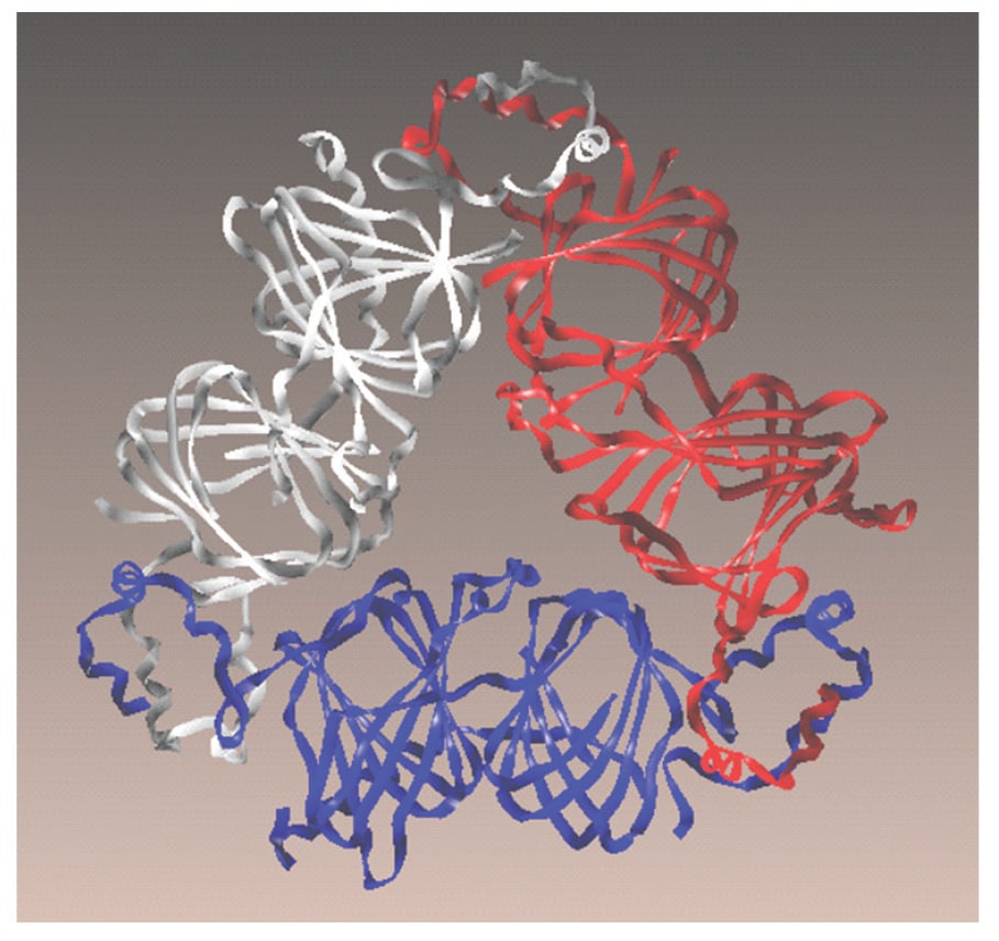 Fig2