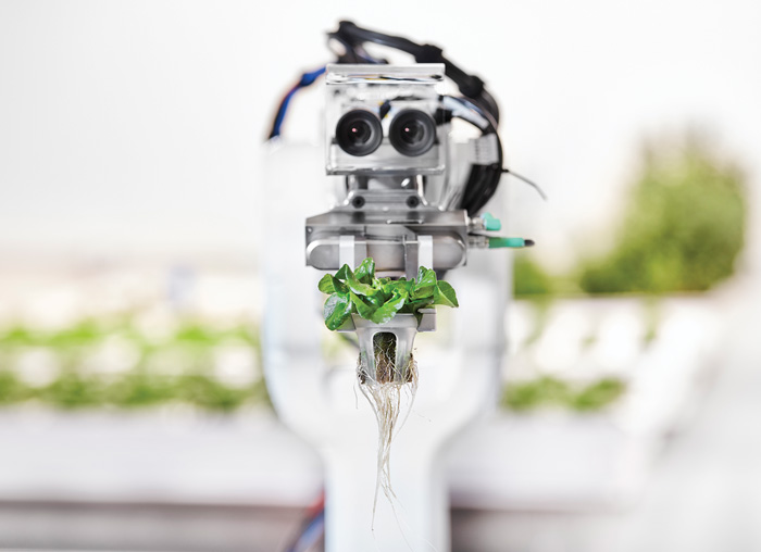 Food Systems transplanter