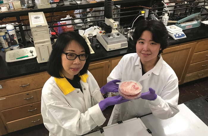 Yanyunzhaojoo Yeounjung Female Scientists