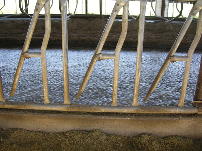 Tank of water - Recycle Water Barn