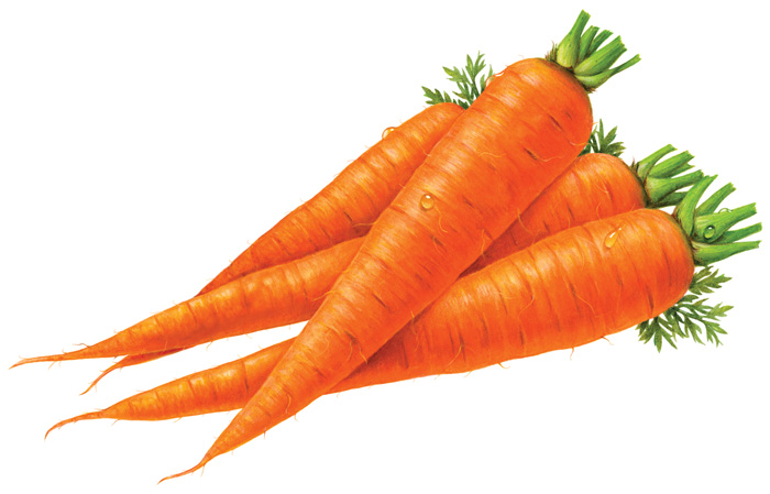 carrots