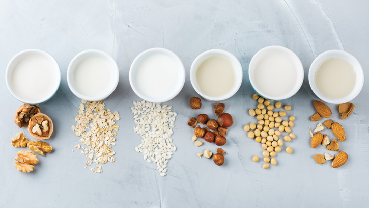 Bears Nutrition Immunity Nourishment