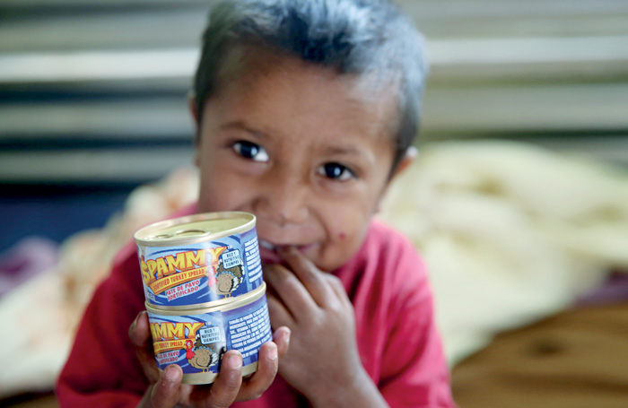 shelf-stable canned turkey product