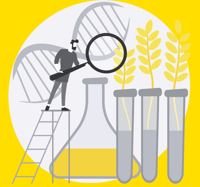 agriculture in lab