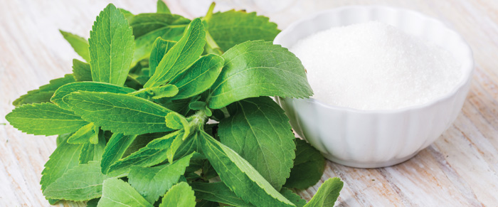 stevia