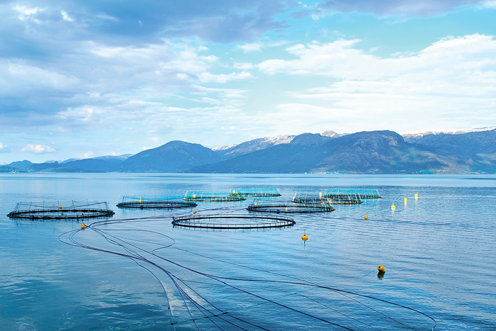 fish farm
