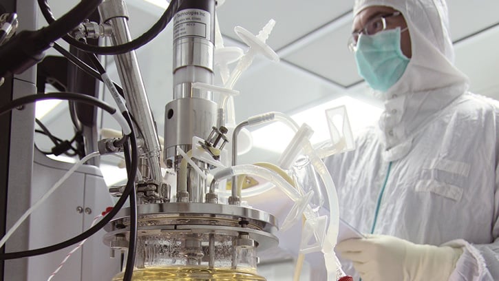 Biotechnology company Pluristem 