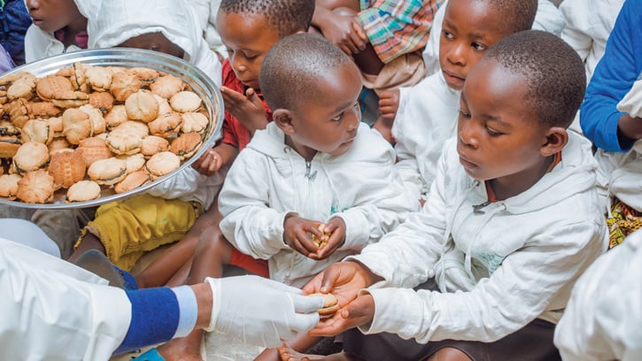 Feeding children leaf protein concentrate biscuit sandwiches