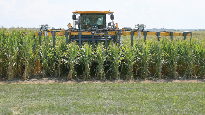 Bayer’s short-stature corn 