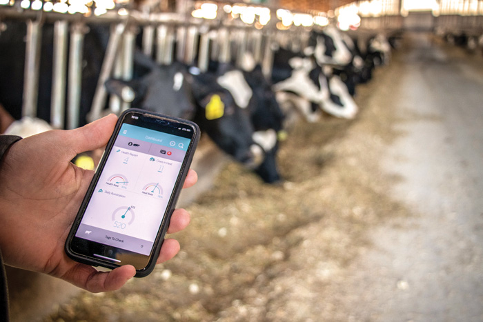 Merck’s ear tags and the Allflex app 