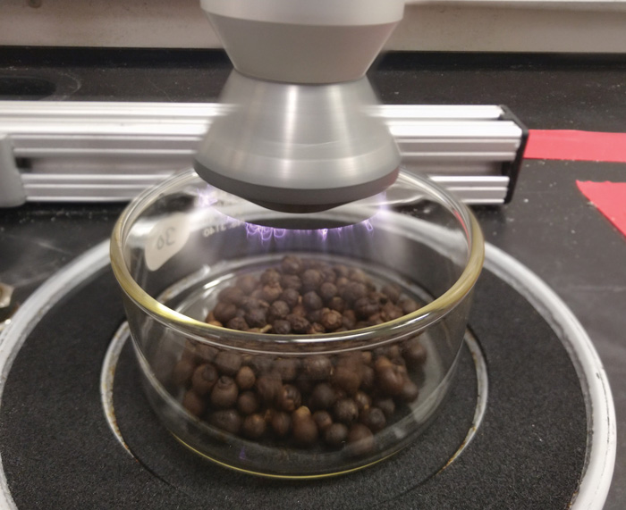 Black Pepper in Plasma