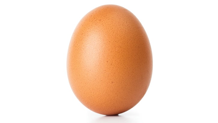Egg