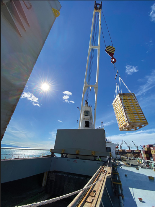 New Zealand kiwi shipping around the world.