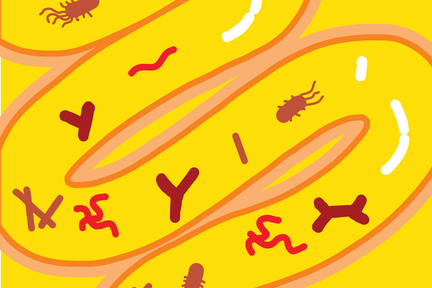 Illustration of intestines with bacteria