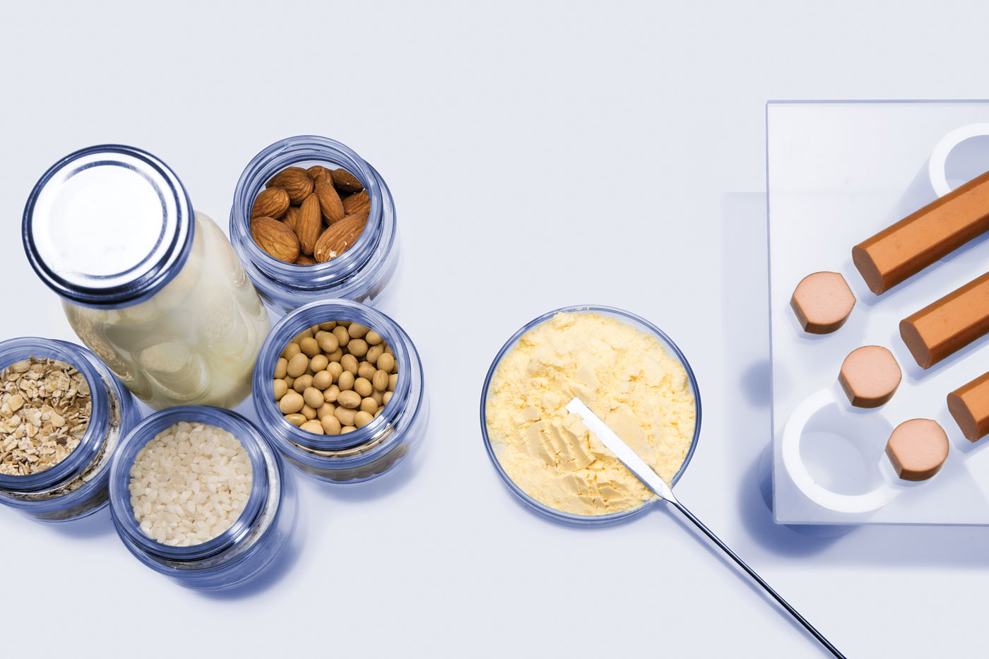 plant-based alternatives to meat and dairy