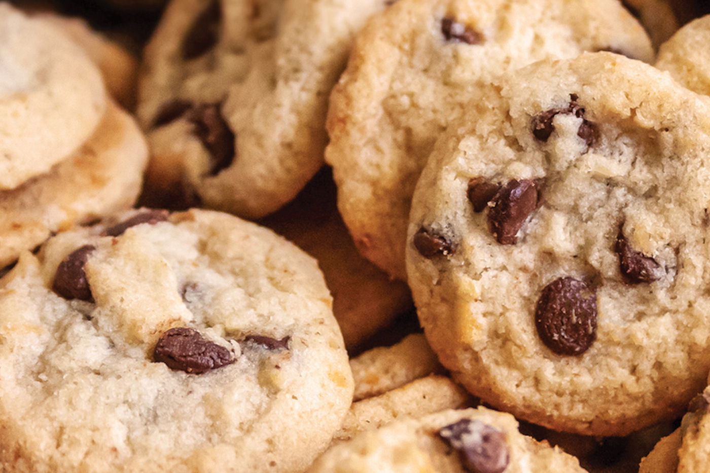 Chocolate cookies with Grande Durato.