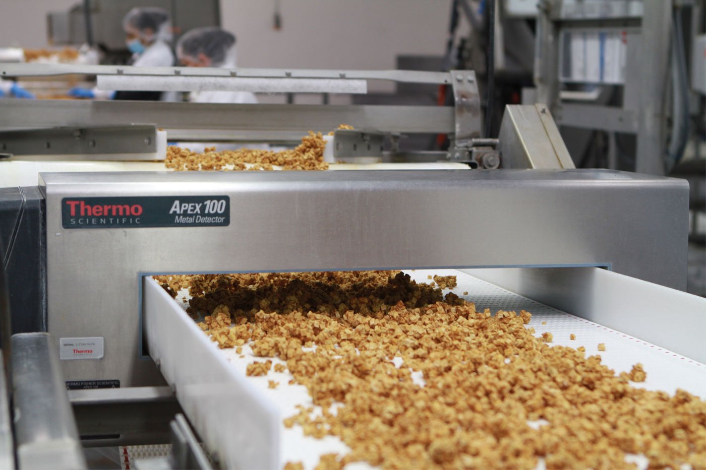 Thermo Scientific Apex 100 Metal Detector