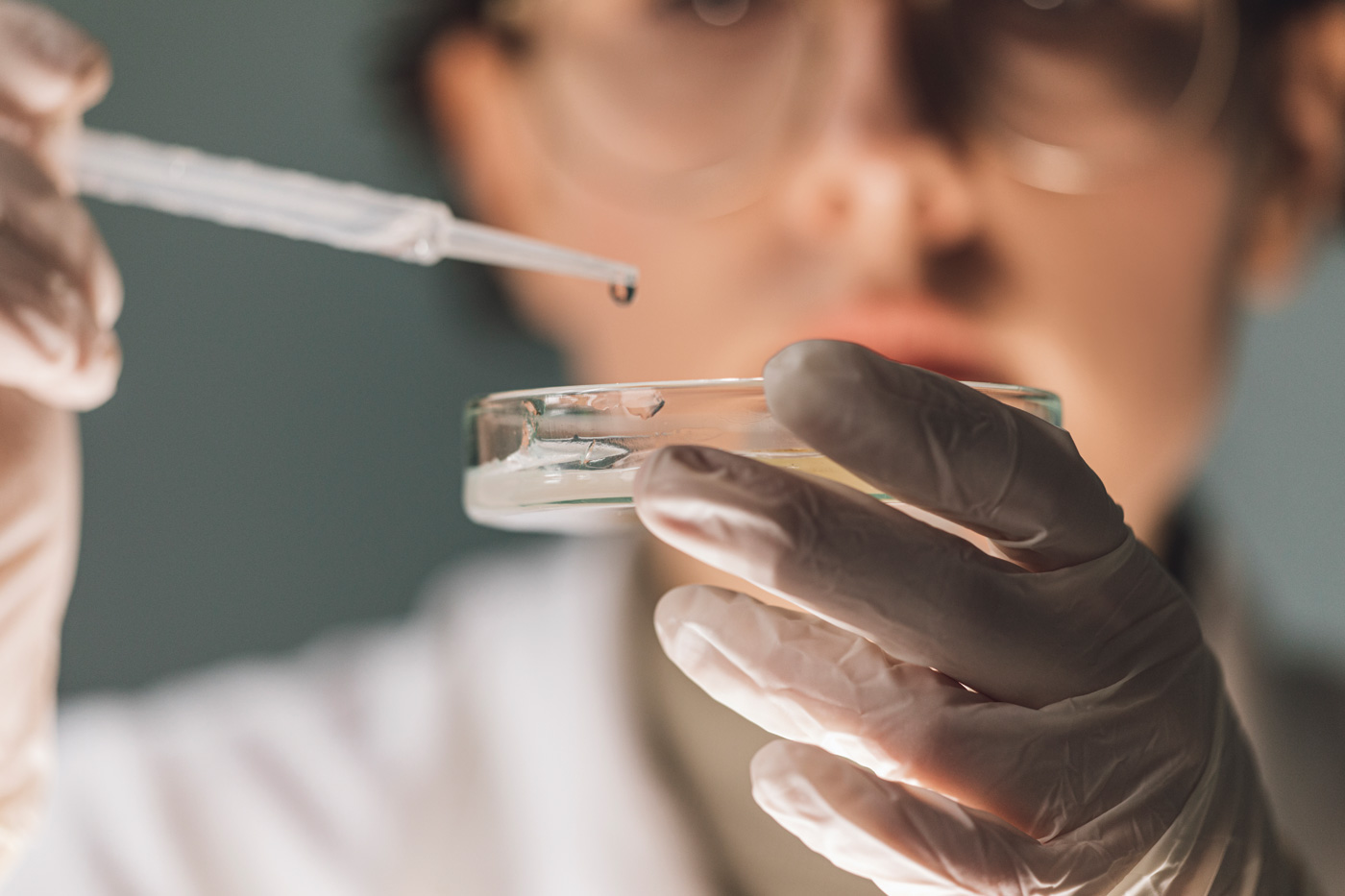 Female lab technician working with strains of bacteria grown in petri dishes