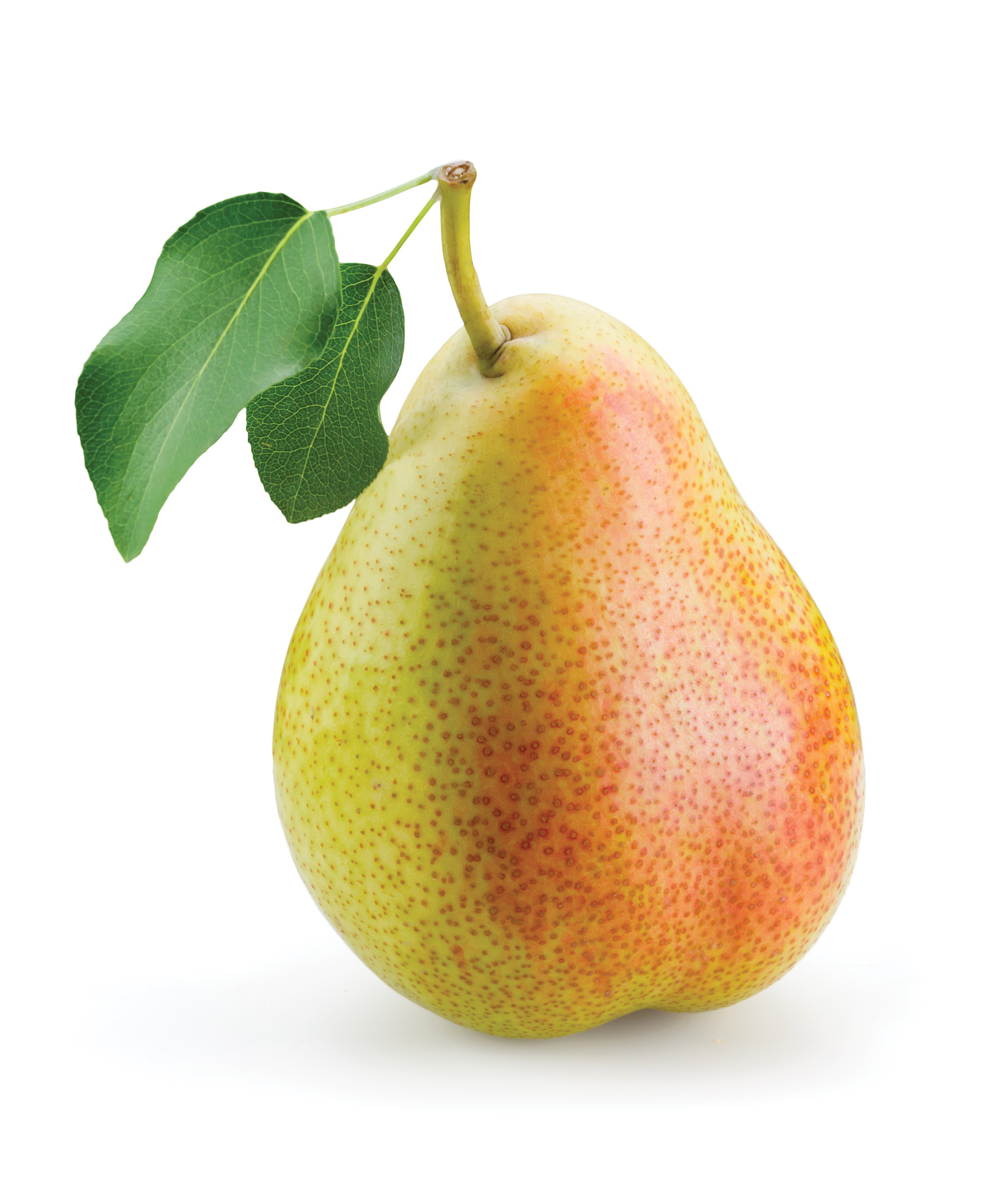 Pear